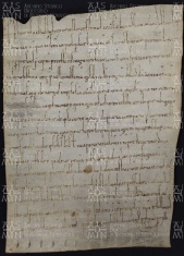 1 A.1.Ir, Donazione fatta da Flavio Astolfo re dei Longobardi a favore di Lapicino vescovo 749-756